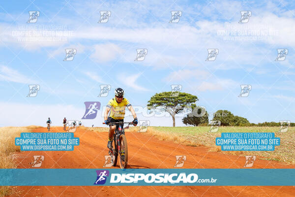 Pedala Paraná - Rota do Caramuru 2024