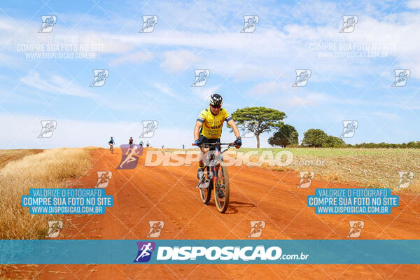 Pedala Paraná - Rota do Caramuru 2024