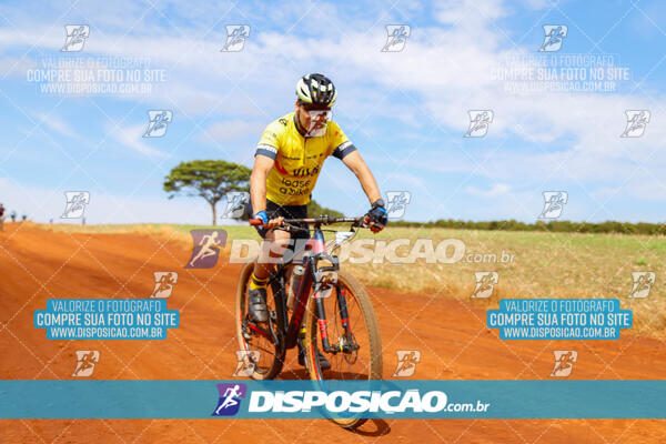 Pedala Paraná - Rota do Caramuru 2024