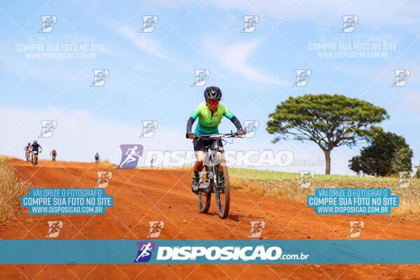 Pedala Paraná - Rota do Caramuru 2024