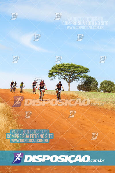 Pedala Paraná - Rota do Caramuru 2024