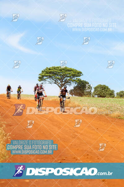 Pedala Paraná - Rota do Caramuru 2024