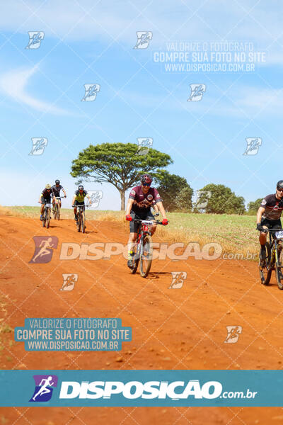 Pedala Paraná - Rota do Caramuru 2024