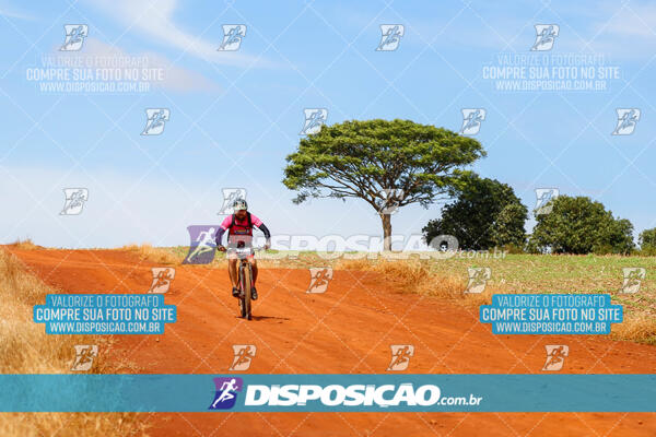 Pedala Paraná - Rota do Caramuru 2024