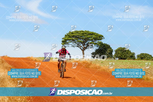 Pedala Paraná - Rota do Caramuru 2024