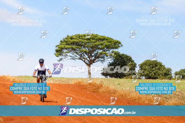 Pedala Paraná - Rota do Caramuru 2024