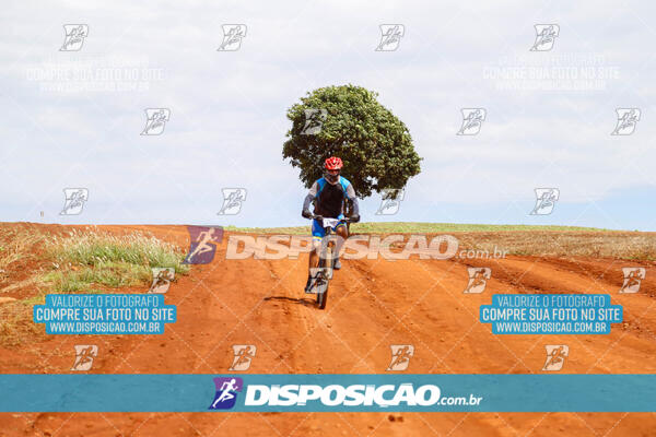 Pedala Paraná - Rota do Caramuru 2024