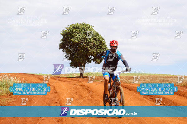 Pedala Paraná - Rota do Caramuru 2024