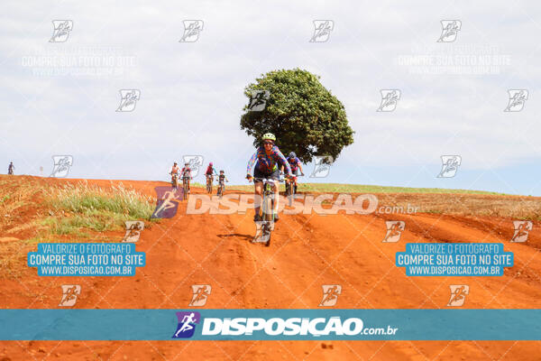 Pedala Paraná - Rota do Caramuru 2024