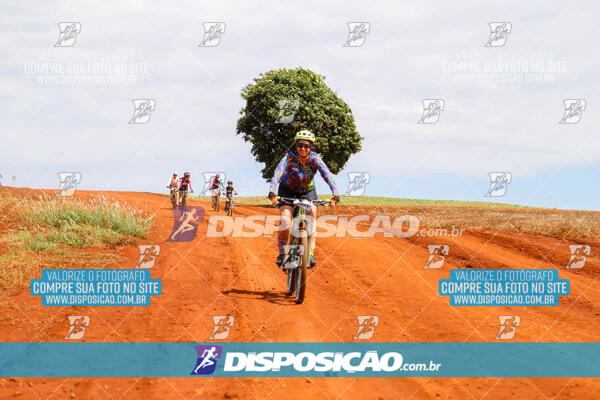 Pedala Paraná - Rota do Caramuru 2024