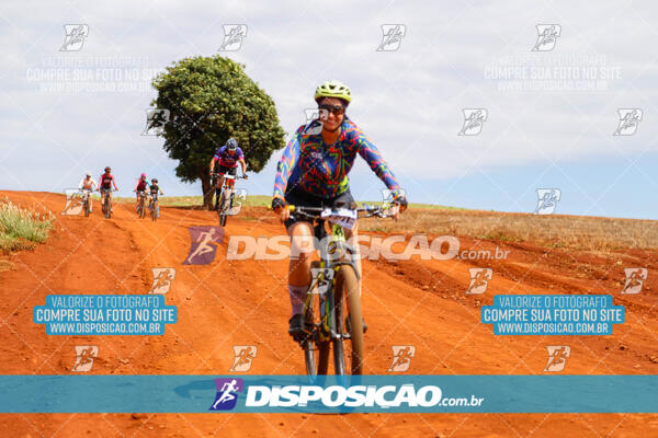 Pedala Paraná - Rota do Caramuru 2024