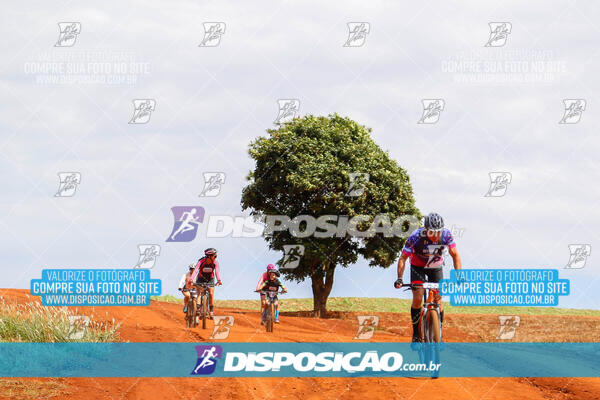 Pedala Paraná - Rota do Caramuru 2024