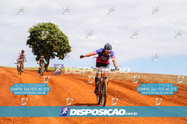 Pedala Paraná - Rota do Caramuru 2024