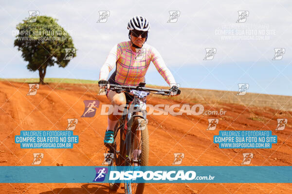 Pedala Paraná - Rota do Caramuru 2024