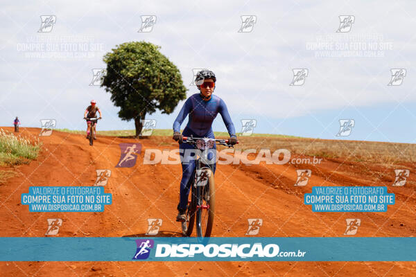 Pedala Paraná - Rota do Caramuru 2024