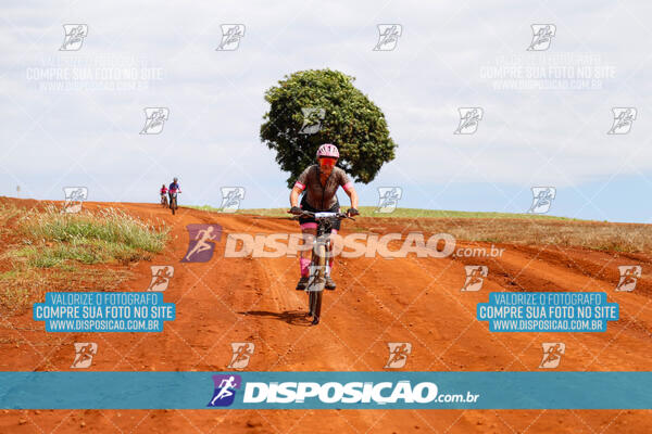 Pedala Paraná - Rota do Caramuru 2024