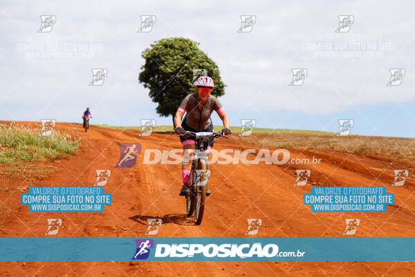 Pedala Paraná - Rota do Caramuru 2024