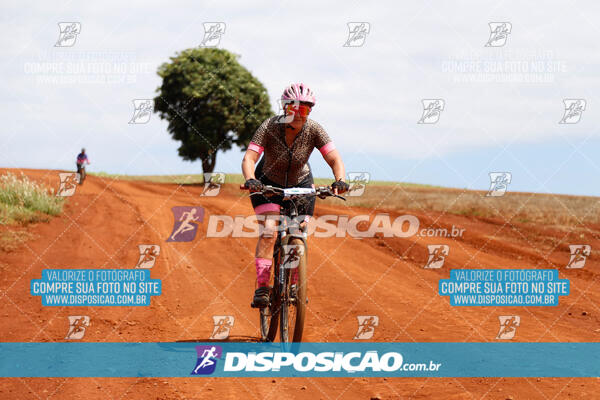 Pedala Paraná - Rota do Caramuru 2024