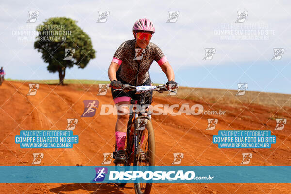 Pedala Paraná - Rota do Caramuru 2024