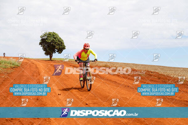 Pedala Paraná - Rota do Caramuru 2024