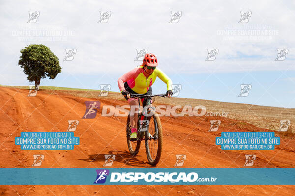 Pedala Paraná - Rota do Caramuru 2024