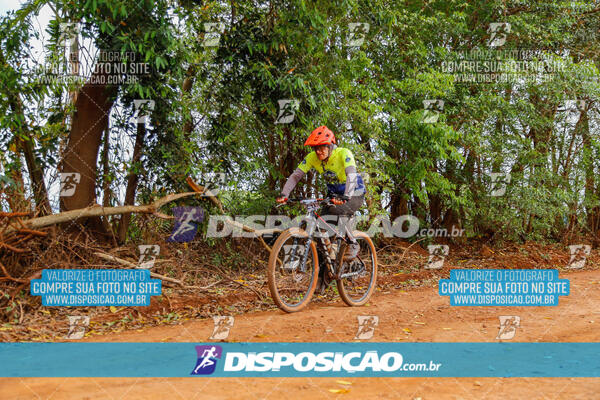 Pedala Paraná - Rota do Caramuru 2024