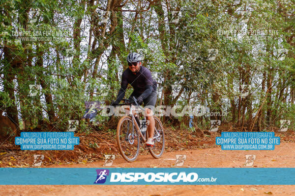 Pedala Paraná - Rota do Caramuru 2024