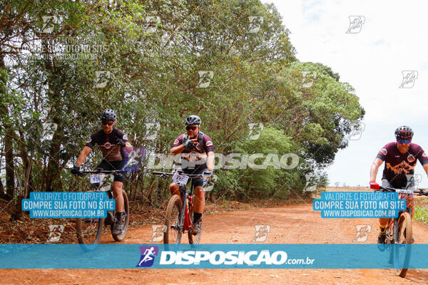 Pedala Paraná - Rota do Caramuru 2024