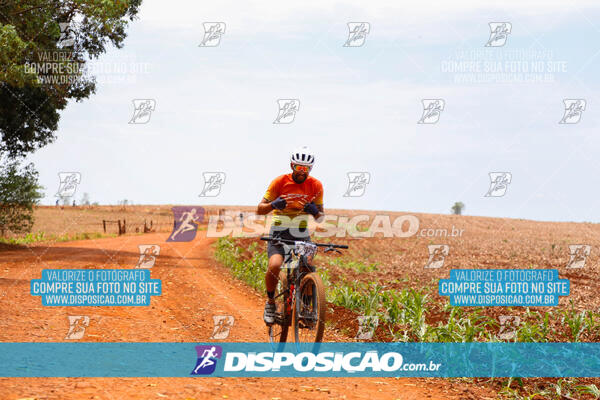 Pedala Paraná - Rota do Caramuru 2024