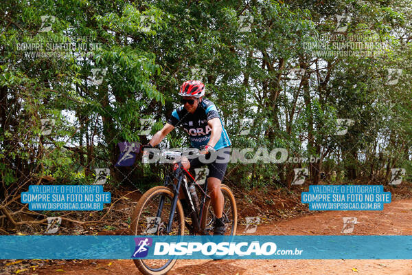 Pedala Paraná - Rota do Caramuru 2024