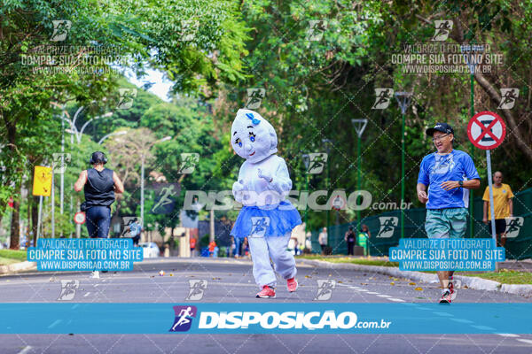 Pedalando contra a Pólio 2024 Rotary Club Maringá