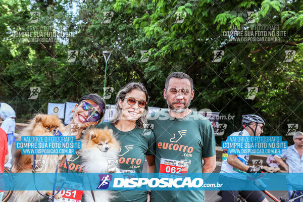 Pedalando contra a Pólio 2024 Rotary Club Maringá