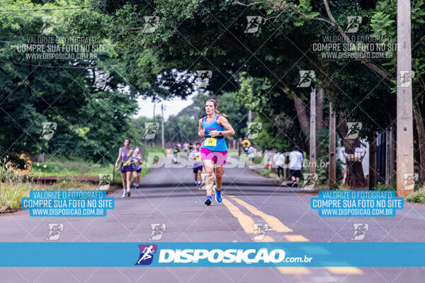 Circuito Sesc de Corridas 2024 Etapa Maringá