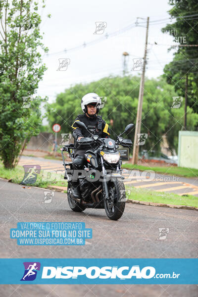 Circuito Sesc de Corridas 2024 Etapa Maringá