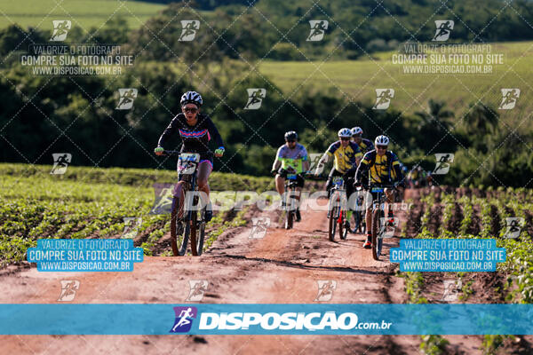 4º Desafio 100km de Terra