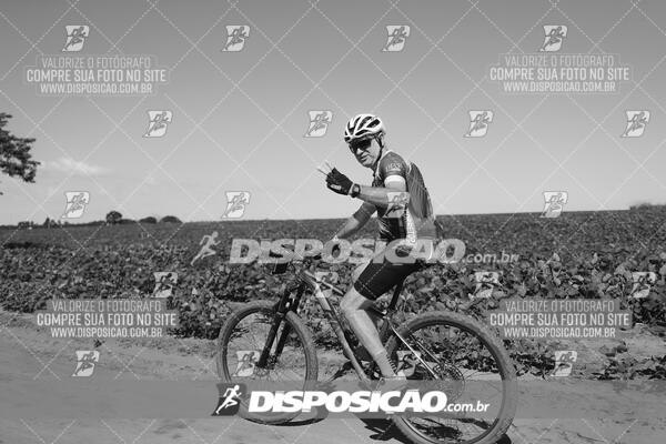 4º Desafio 100km de Terra