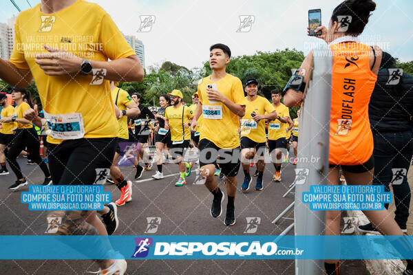 The Best Run Meia Maratona