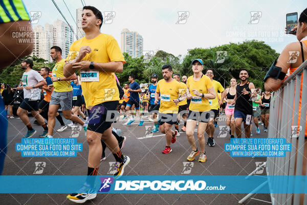 The Best Run Meia Maratona