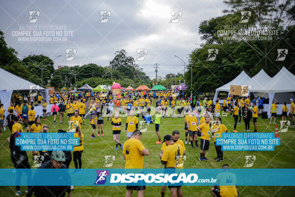 The Best Run Meia Maratona