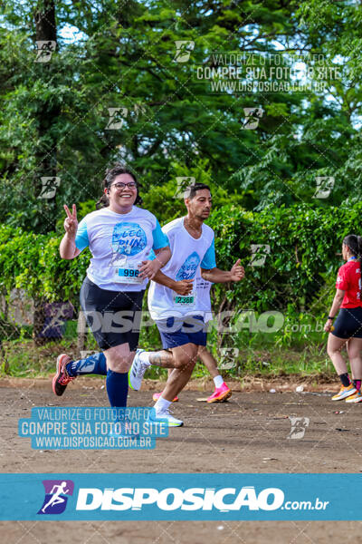 LEC Run 2024