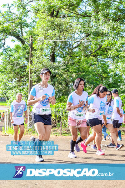 LEC Run 2024