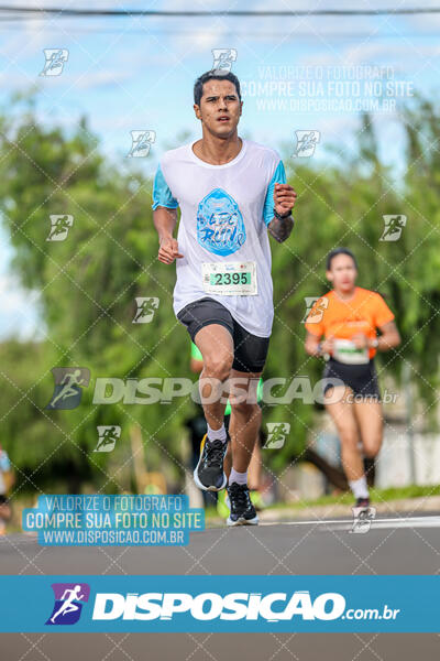 LEC Run 2024