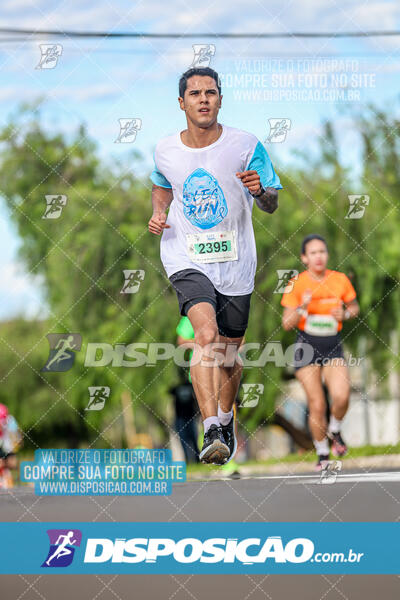 LEC Run 2024