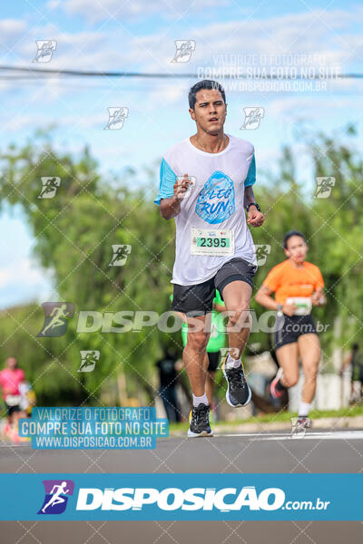 LEC Run 2024