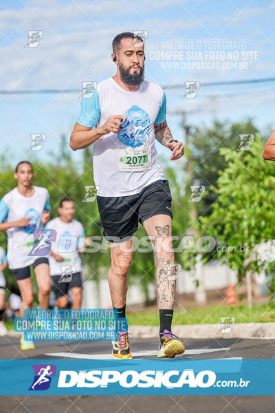 LEC Run 2024