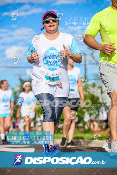 LEC Run 2024