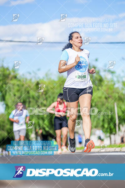 LEC Run 2024