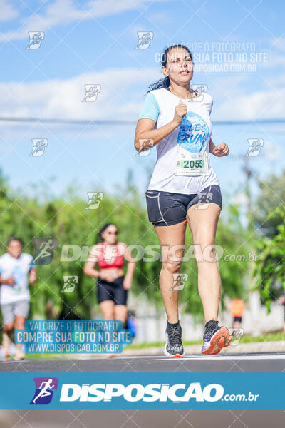 LEC Run 2024