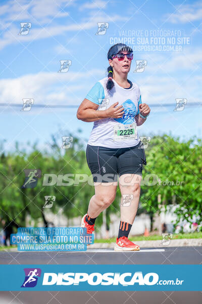 LEC Run 2024