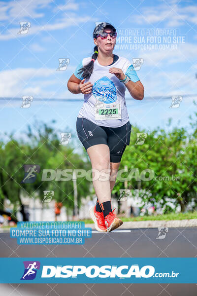 LEC Run 2024